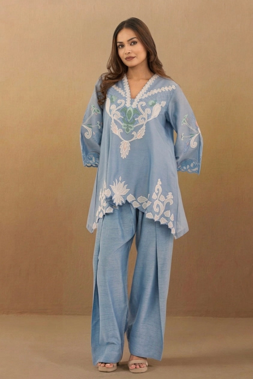 Light Blue Appliqué Set with Farzi pants