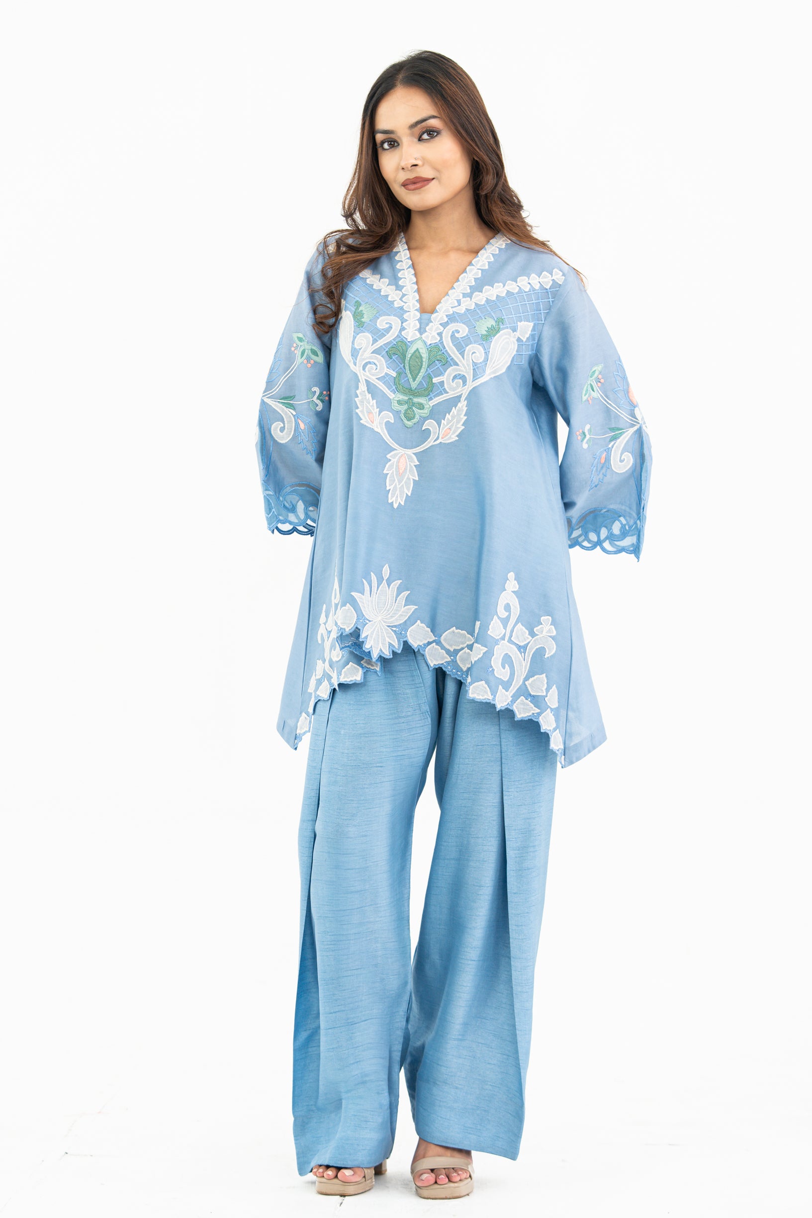 Light Blue Appliqué Set with Farzi pants