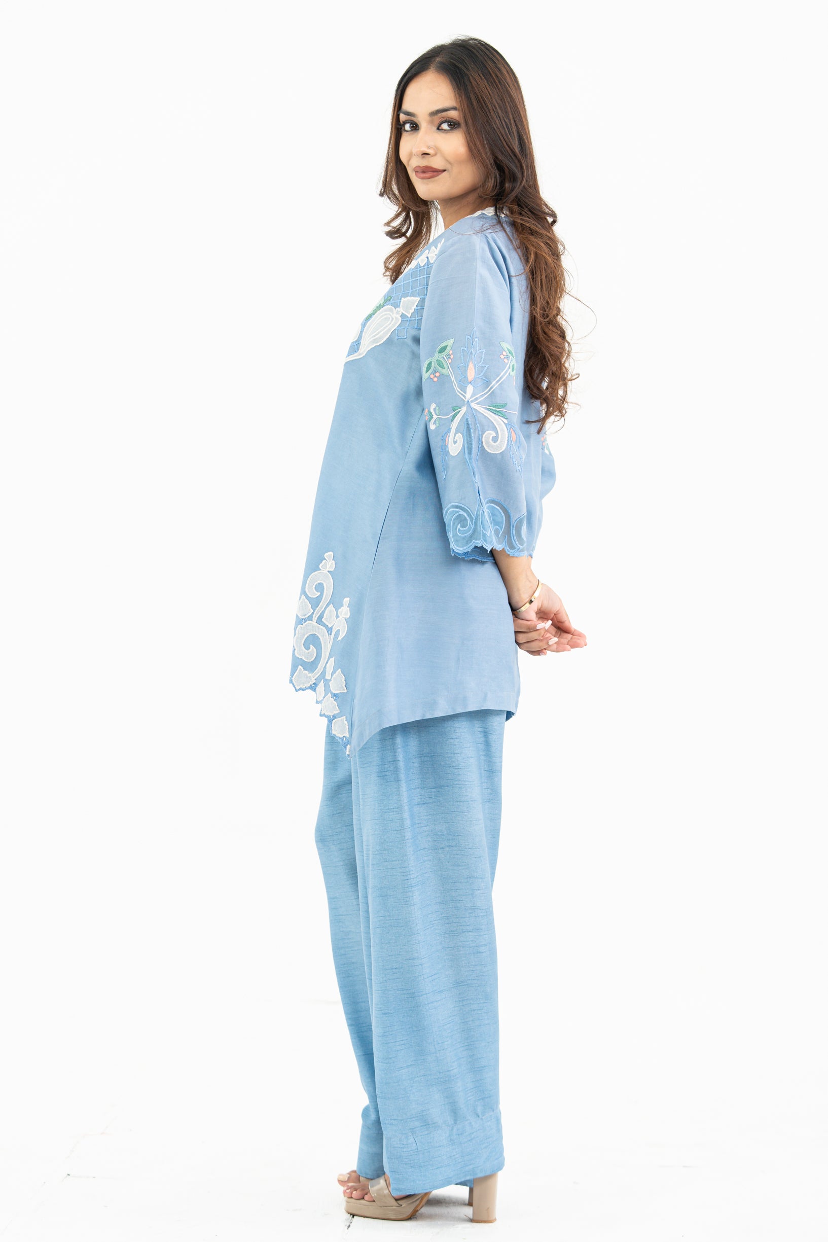 Light Blue Appliqué Set with Farzi pants