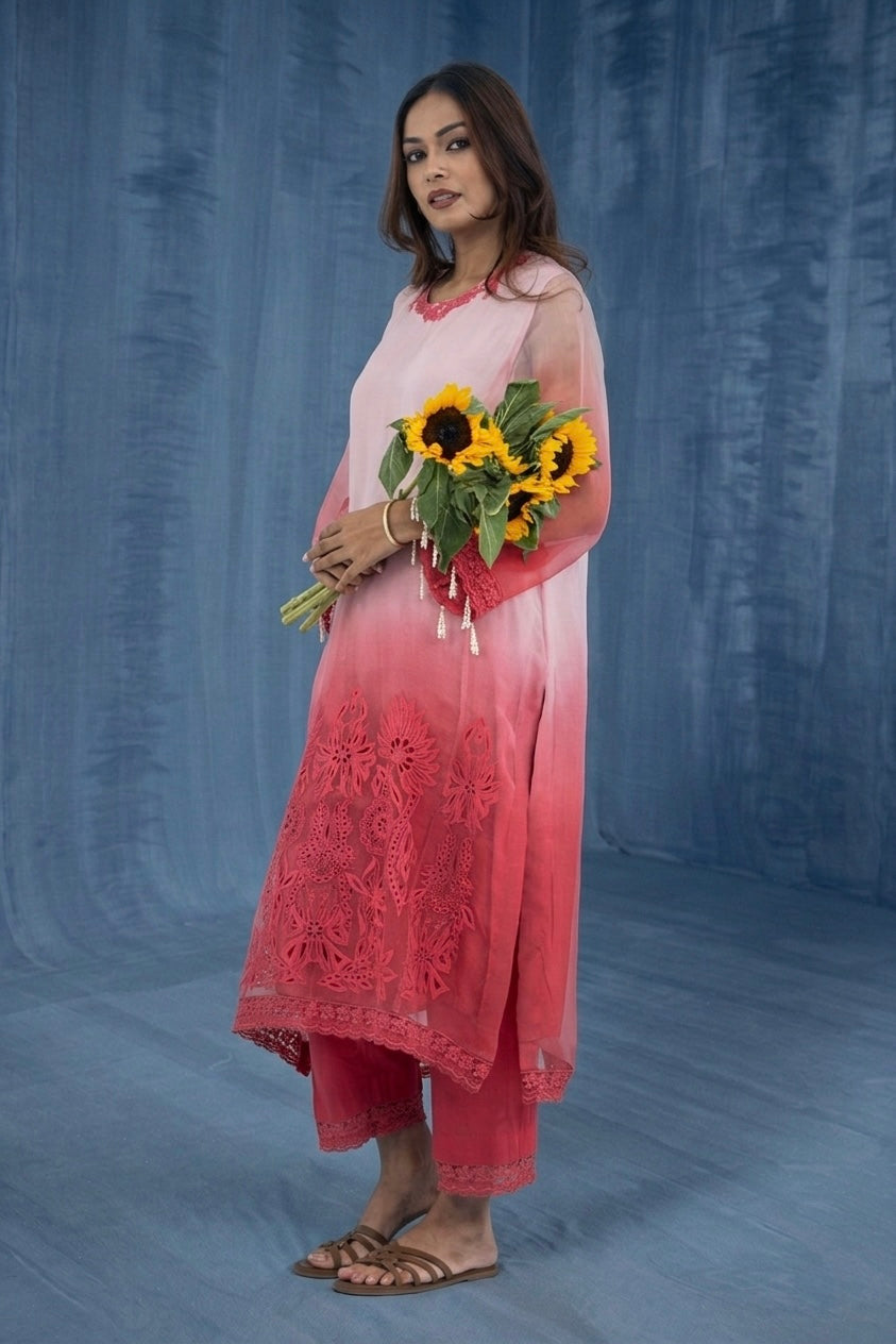 Pink Ombre Set